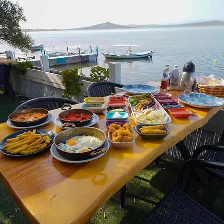 Qcunda *