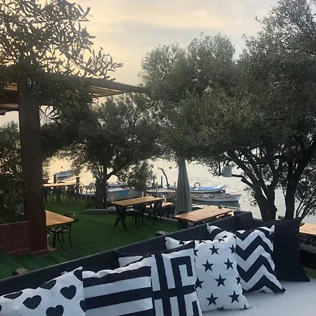 Qcunda