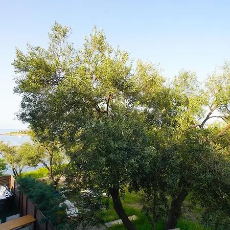 Hotell Qcunda Ayvalı