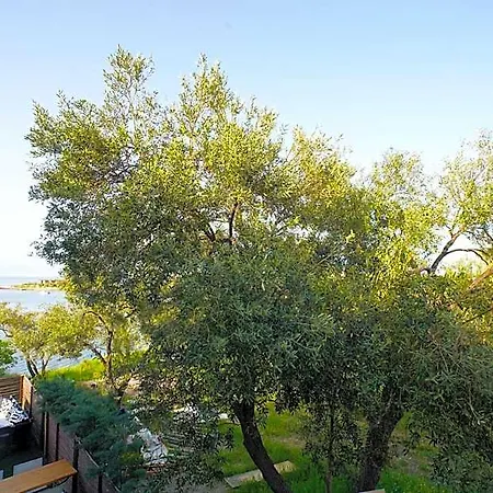 Qcunda Hotel *